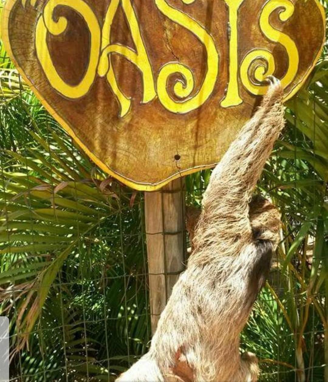 프라이아 두 포르테 Chale "Oasis" 빌라 외부 사진